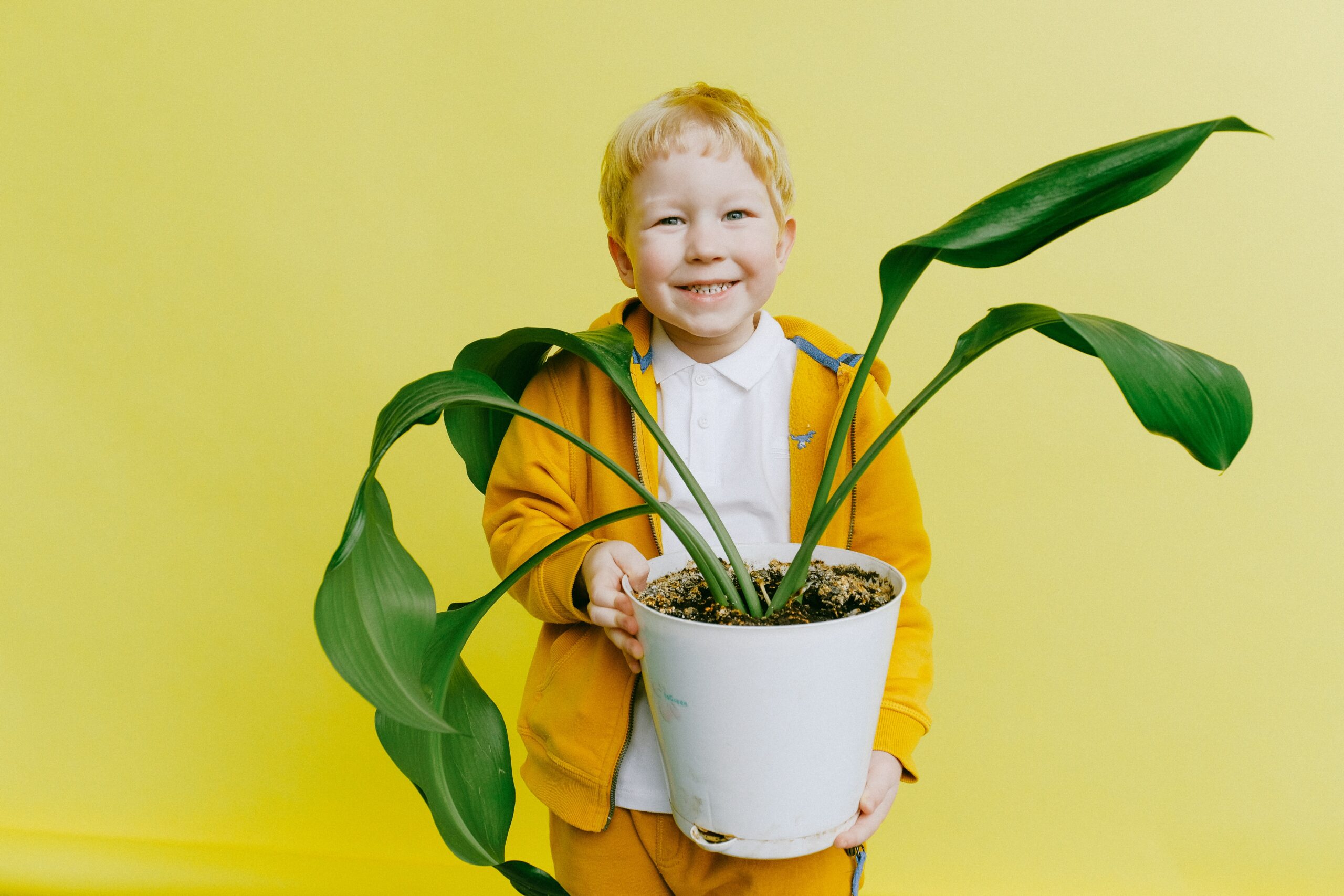 A child holds a plant in front of a yellow wall